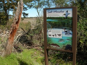 trail-display                          