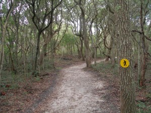 trail123015b                          